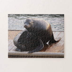 Sea Lion, Pier 39, San Francisco Jigsaw puzzle