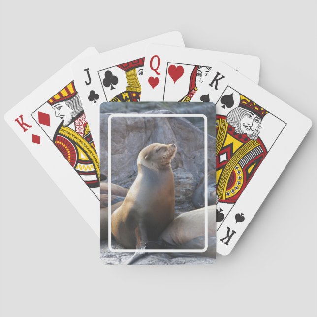 Sea Lion Playing Cards (Back)