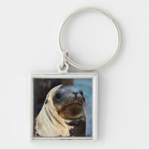 Sea Lion Portrait Key Ring