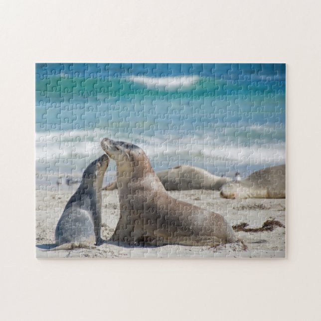 Sea lion sealion cute baby pup, kids 252 jigsaw puzzle (Horizontal)