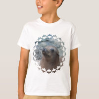 Sea Lion Star