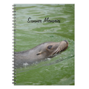 Sea Lion Summer Memories Photograph Notebook
