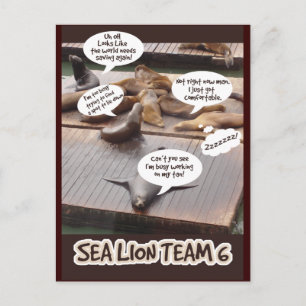 Sea Lion Team Six Postcard