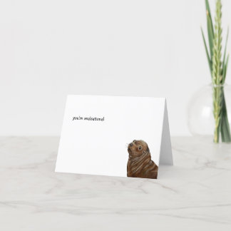 Sea Lion thank you cards