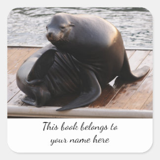 Sea Lion "This book belongs to" sticker