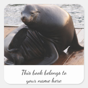 Sea Lion "This book belongs to" sticker