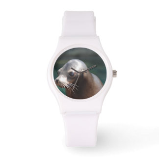 Sea Lion with a Cute Face Watch