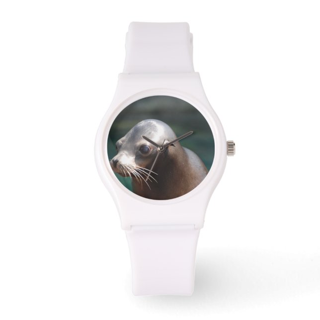 Sea Lion with a Cute Face Watch (Front)
