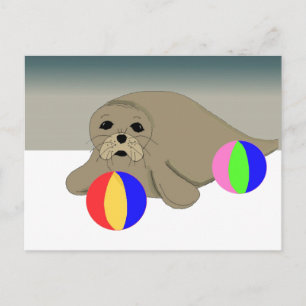 Sea Lion with Beach Balls Postcard