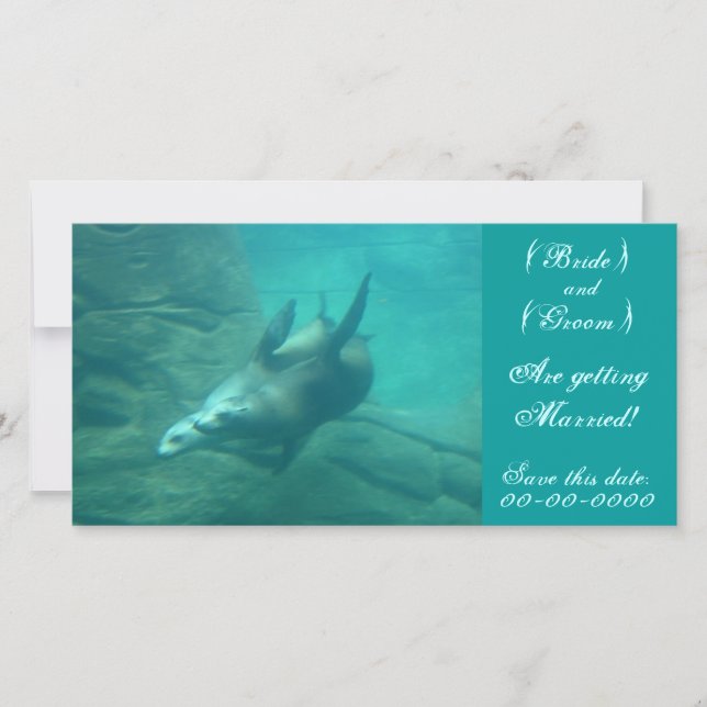 Sea Lions Customisable Save This Date Photo Card (Front)