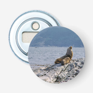 Sea lions in beagle channel - Argentina Bottle Opener