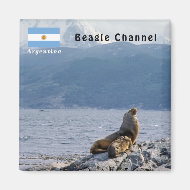 Sea lions in beagle channel - Argentina Magnet (Front)