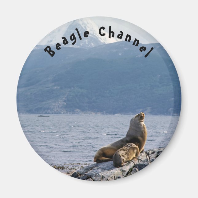 Sea lions in beagle channel - Argentina Magnet (Front)