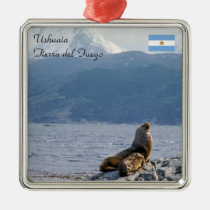 Sea lions in beagle channel - Argentina Metal Ornament