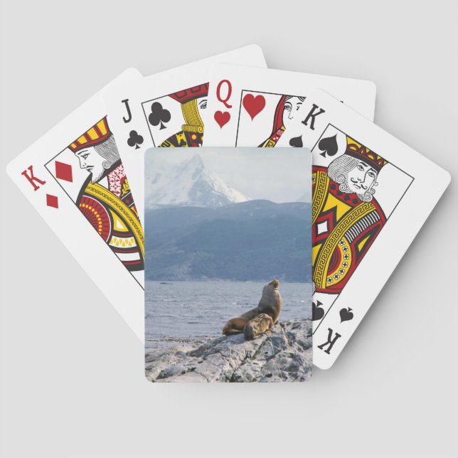 Sea lions in beagle channel - Argentina Playing Cards (Back)