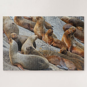 Sea lions in Patagonia, Chile Jigsaw Puzzle