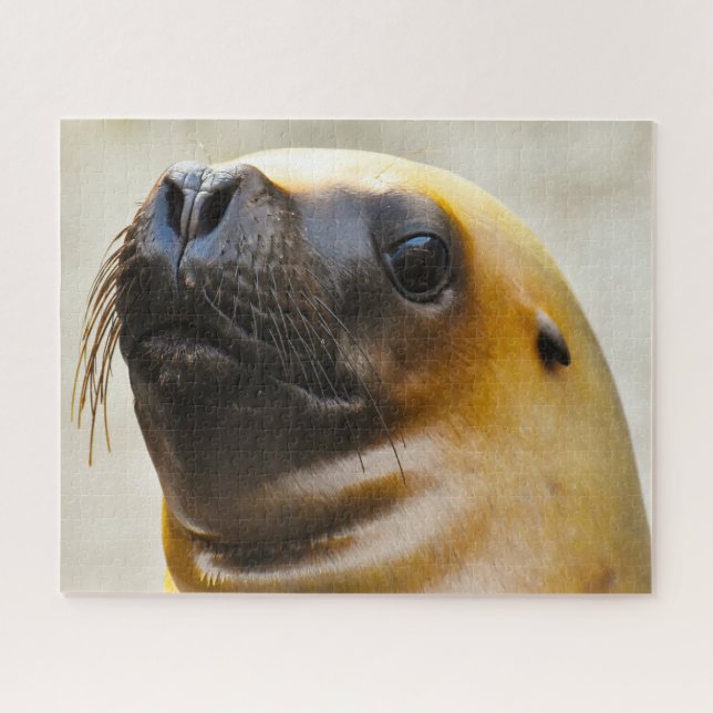 Sea Lions Jigsaw Puzzle (Horizontal)