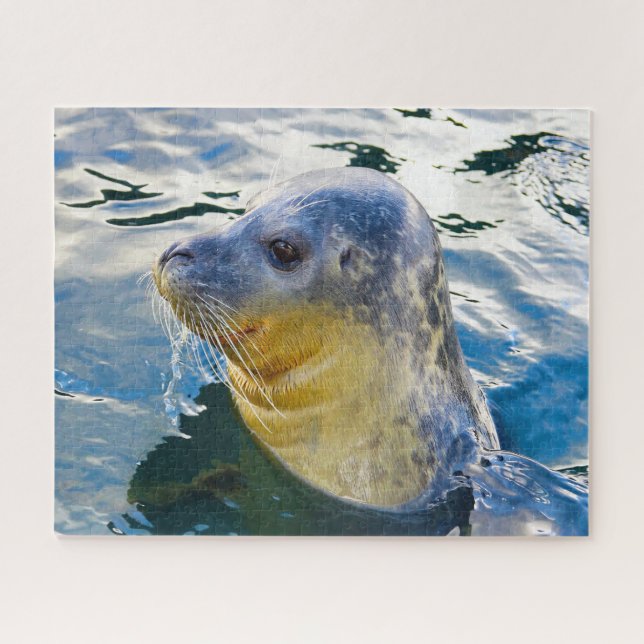 Sea Lions Jigsaw Puzzle (Horizontal)