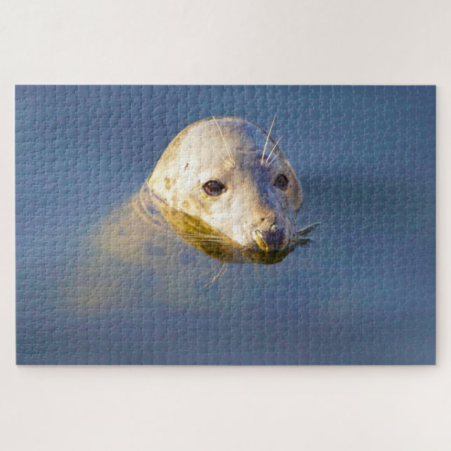 Sea Lions Jigsaw Puzzle (Horizontal)
