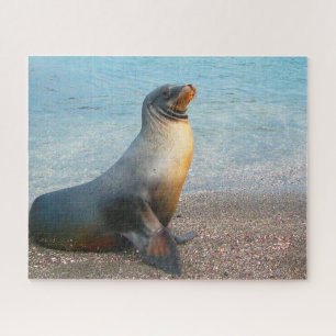 Sea Lions Jigsaw Puzzle