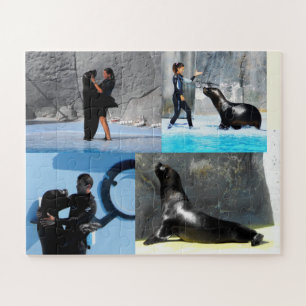 Sea lions jigsaw puzzle