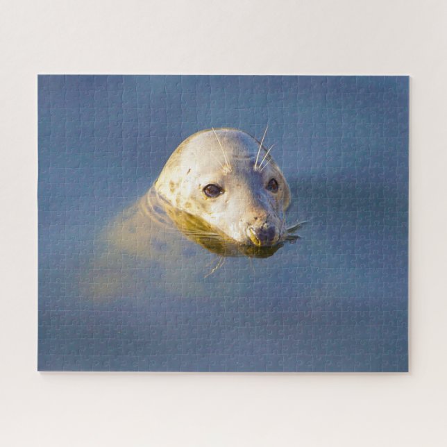 Sea Lions Jigsaw Puzzle (Horizontal)