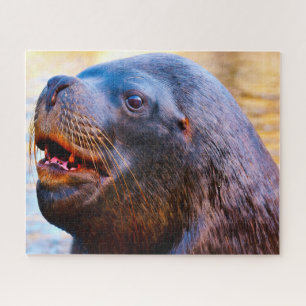 Sea Lions Jigsaw Puzzle