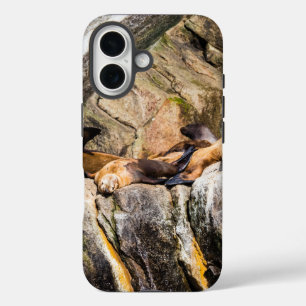 Sea Lions Laying On The Rocks iPhone 16 Case