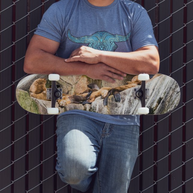 Sea Lions Laying On The Rocks Skateboard (Outdoor 3)