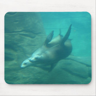 Sea Lions Mousepad