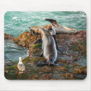 Sea Lions on Rocky Shore – Coastal Wildlife Art Mouse Pad