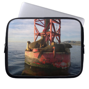 Sea Lions Relaxin on a Buoy in Dana Point Laptop Sleeve