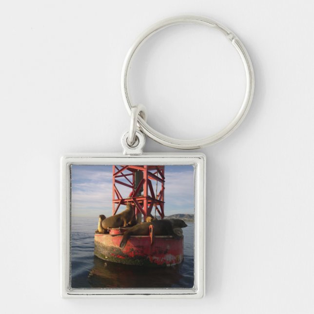 Sea Lions Relaxing on a Buoy in Dana Point Key Ring (Front)