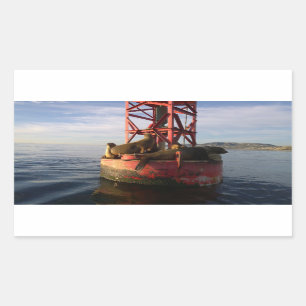 Sea Lions Relaxing on a Buoy in Dana Point Rectangular Sticker