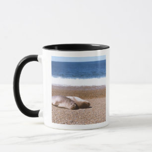 Sea Lions Resting on Beach Mug