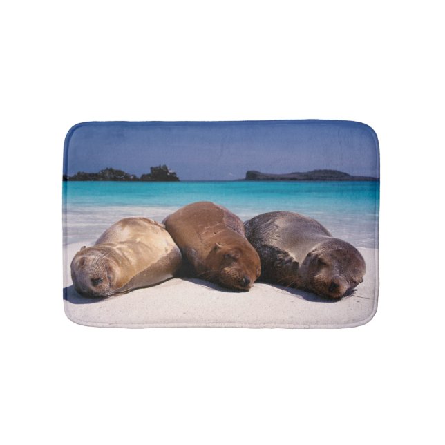 Sea Lions Sleeping On Beach | Ecuador Bath Mat (Front)