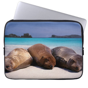 Sea Lions Sleeping On Beach Ecuador Laptop Sleeve