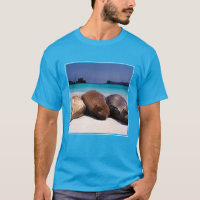 Sea Lions Sleeping On Beach | Ecuador