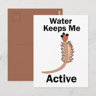 Sea Monkeys Brine Shrimp Water Keeps Me Active Postcard