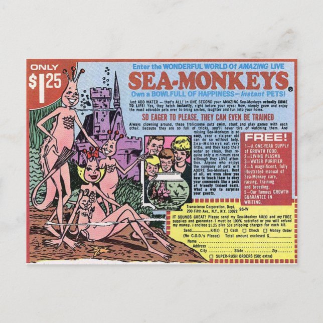 Sea Monkeys Post Card (Front)