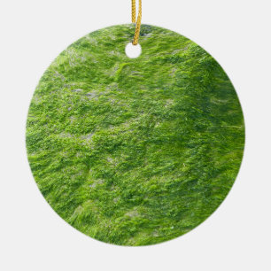Sea Moss Green Nature Grass Beach Nautical Ceramic Ornament