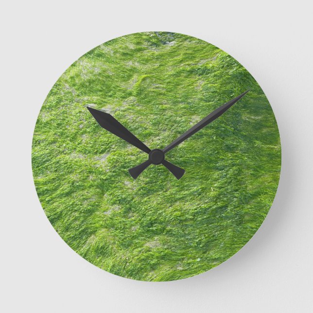 Sea Moss Green Nature Grass Beach Nautical Round Clock (Front)