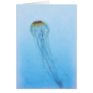 Sea Nettle