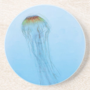 Sea Nettle Coaster