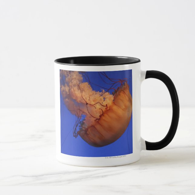 Sea nettle jellyfish mug (Right)