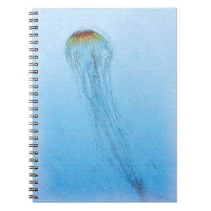 Sea Nettle Notebook