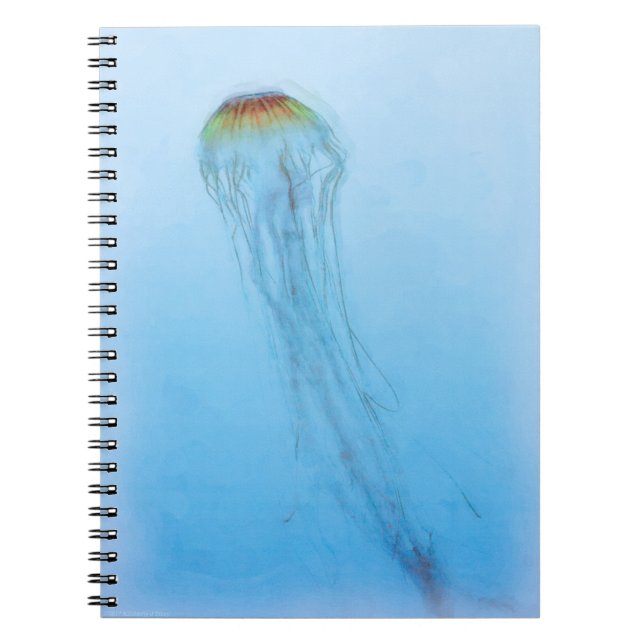 Sea Nettle Notebook (Front)
