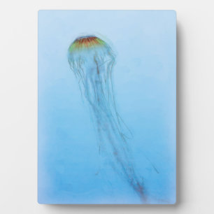 Sea Nettle Plaque