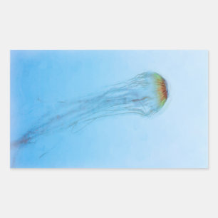 Sea Nettle Rectangular Sticker