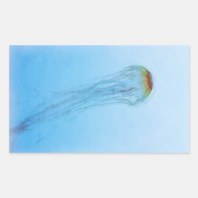 Sea Nettle Rectangular Sticker (Front)